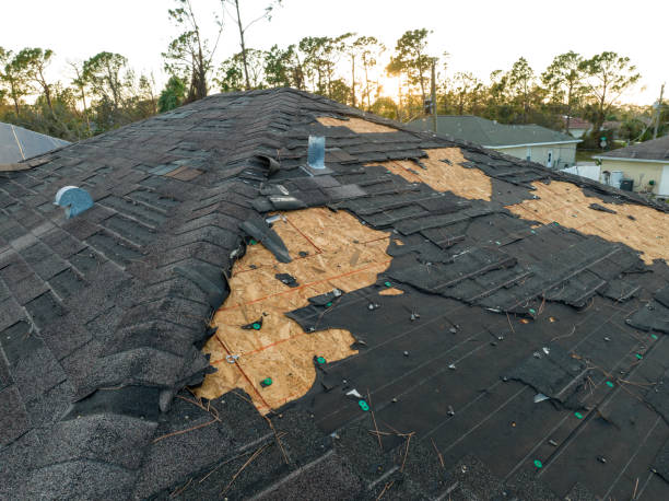 Roof Insulation Installation in Cleona, PA